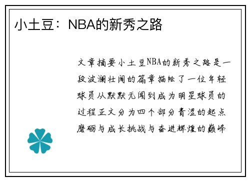 小土豆：NBA的新秀之路