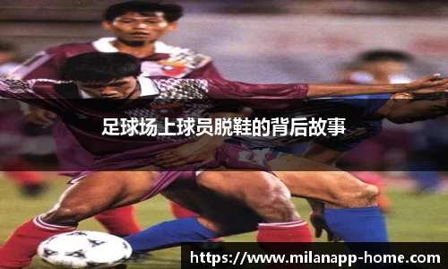 米兰体育app