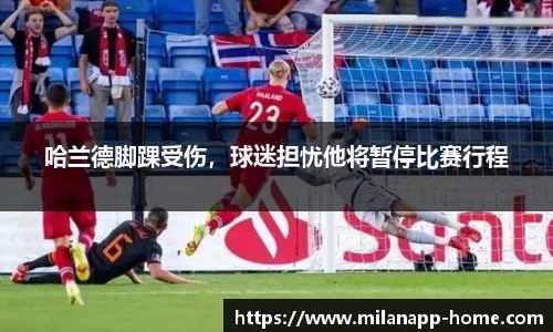 米兰体育官网
